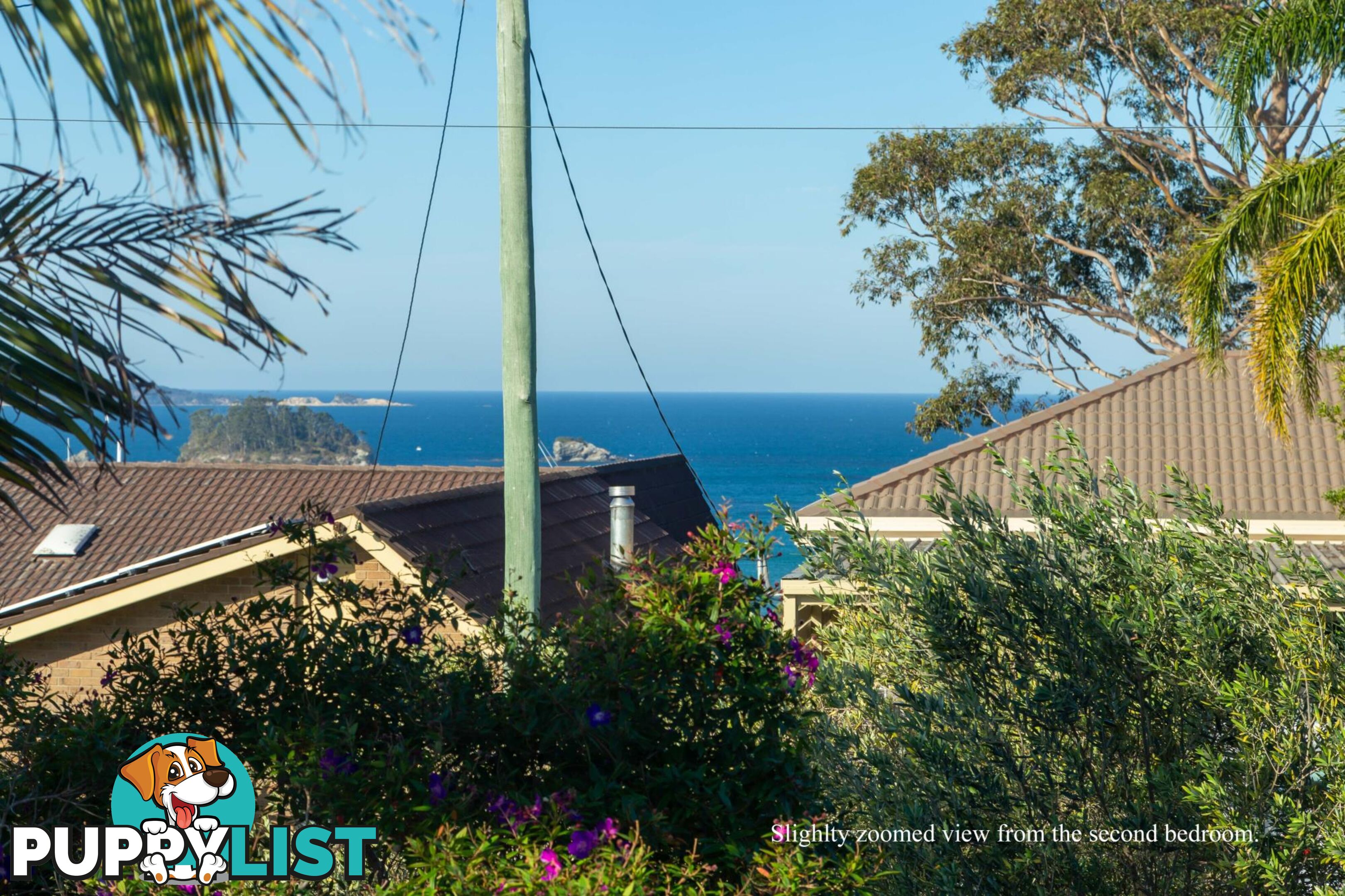 54 Ridge Street CATALINA NSW 2536