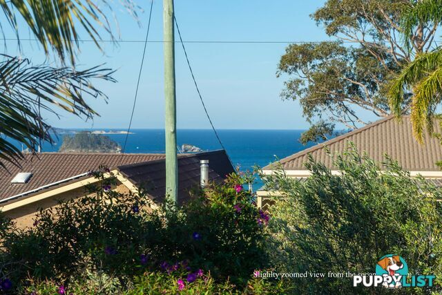 54 Ridge Street CATALINA NSW 2536