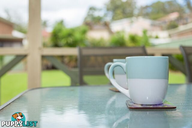 19 Melaleuca Crescent CATALINA NSW 2536