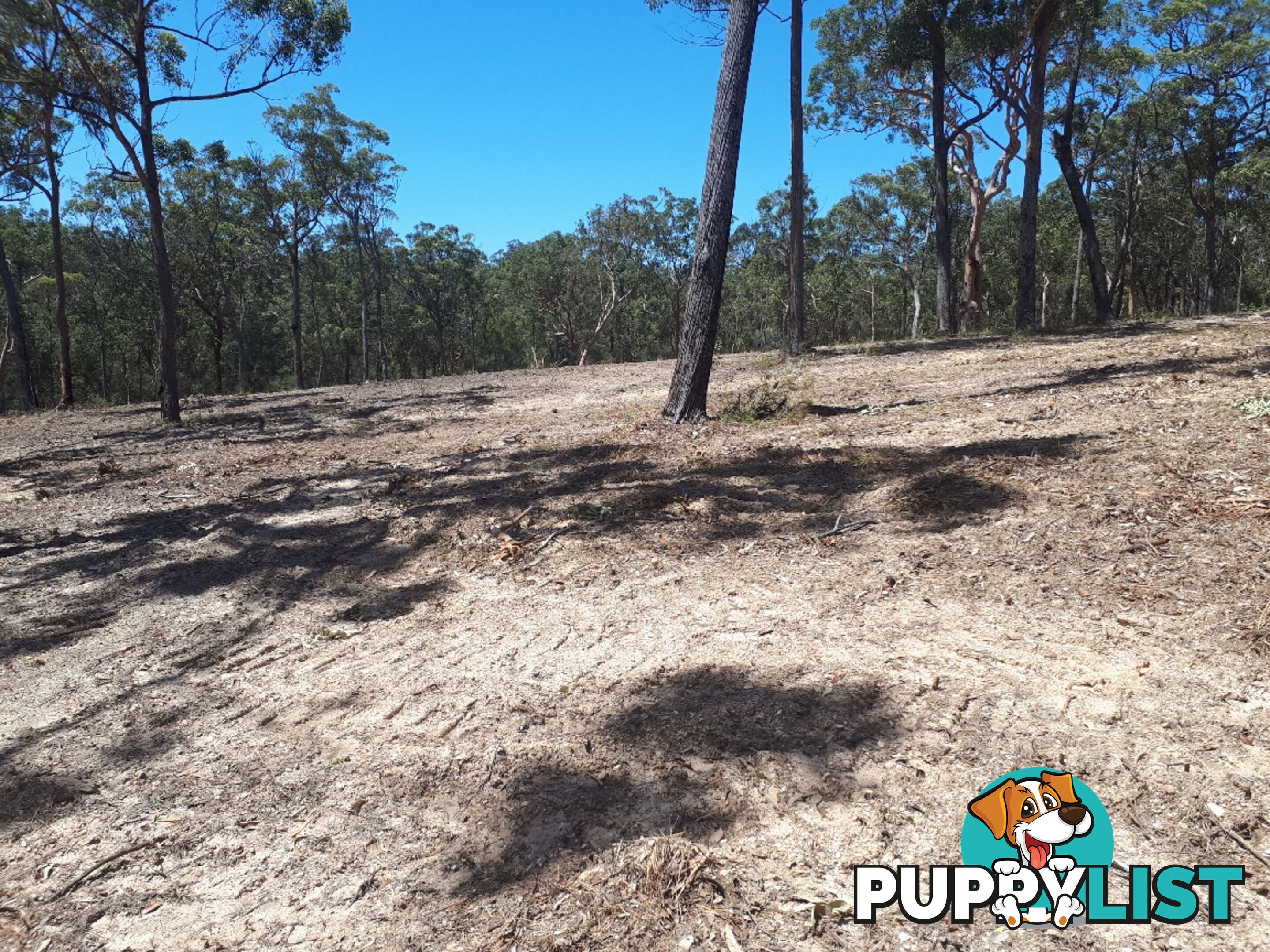 Lot 7 Wamban Road MORUYA NSW 2537