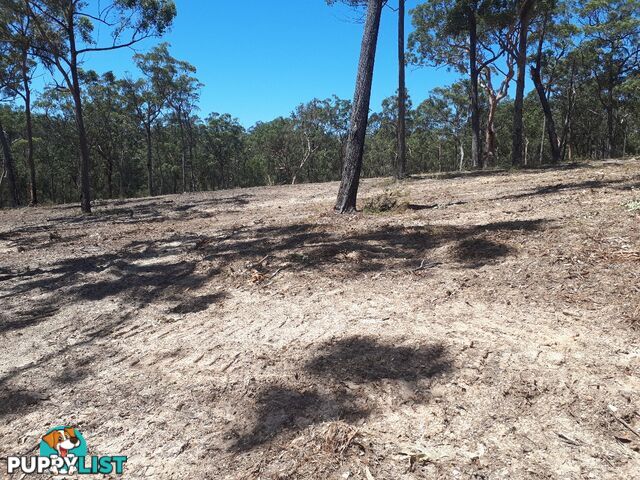 Lot 7 Wamban Road MORUYA NSW 2537