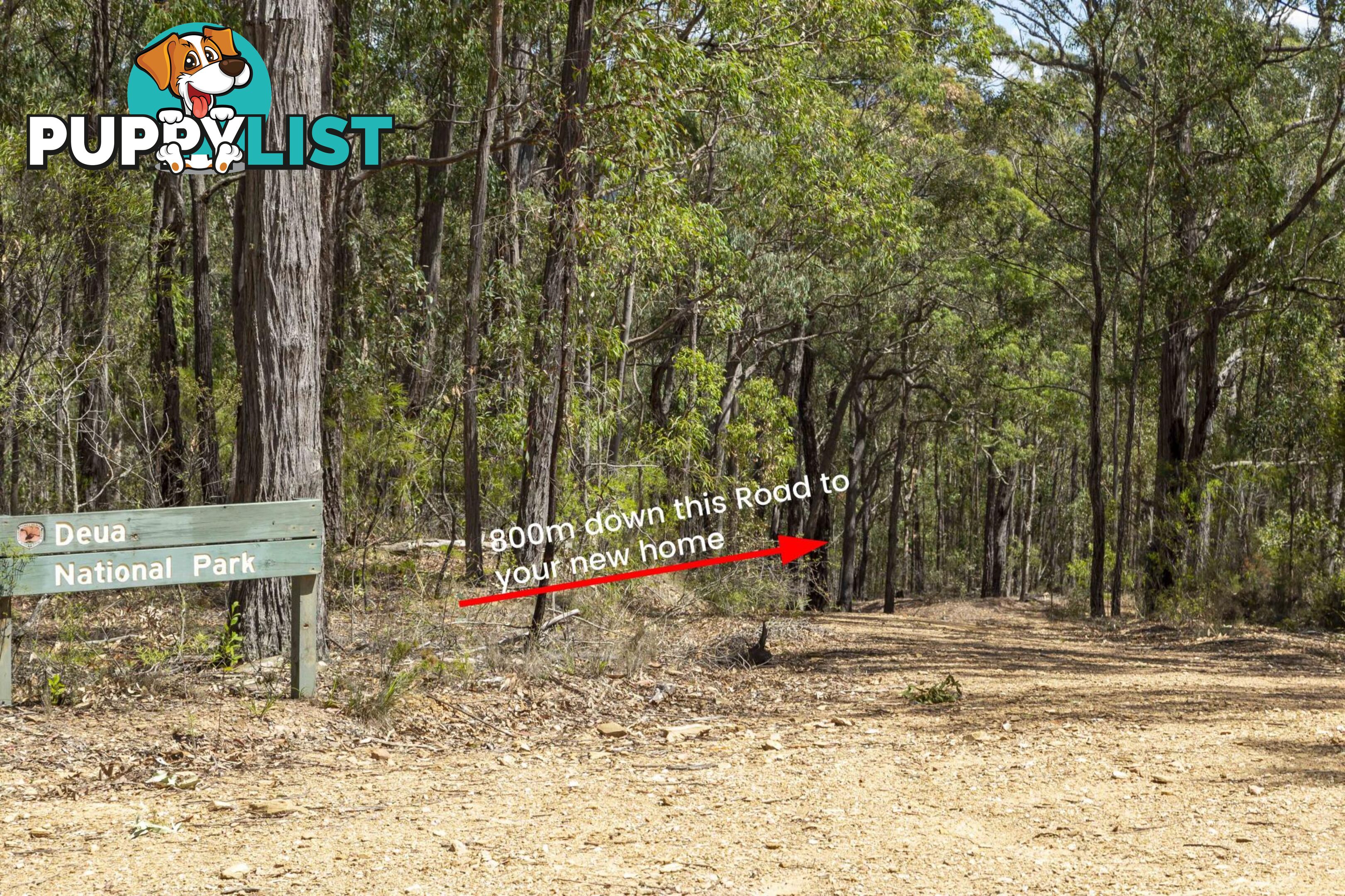 Lot 7 Wamban Road MORUYA NSW 2537