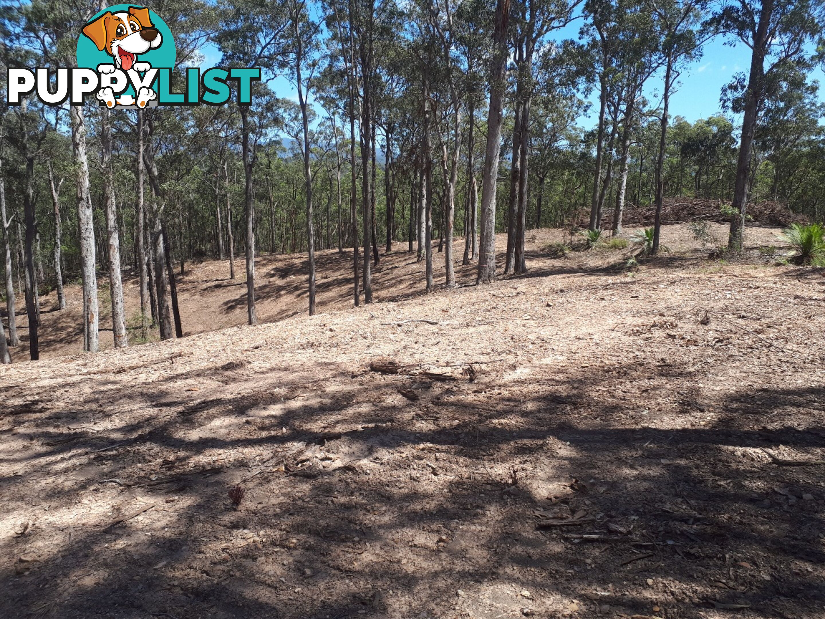 Lot 7 Wamban Road MORUYA NSW 2537