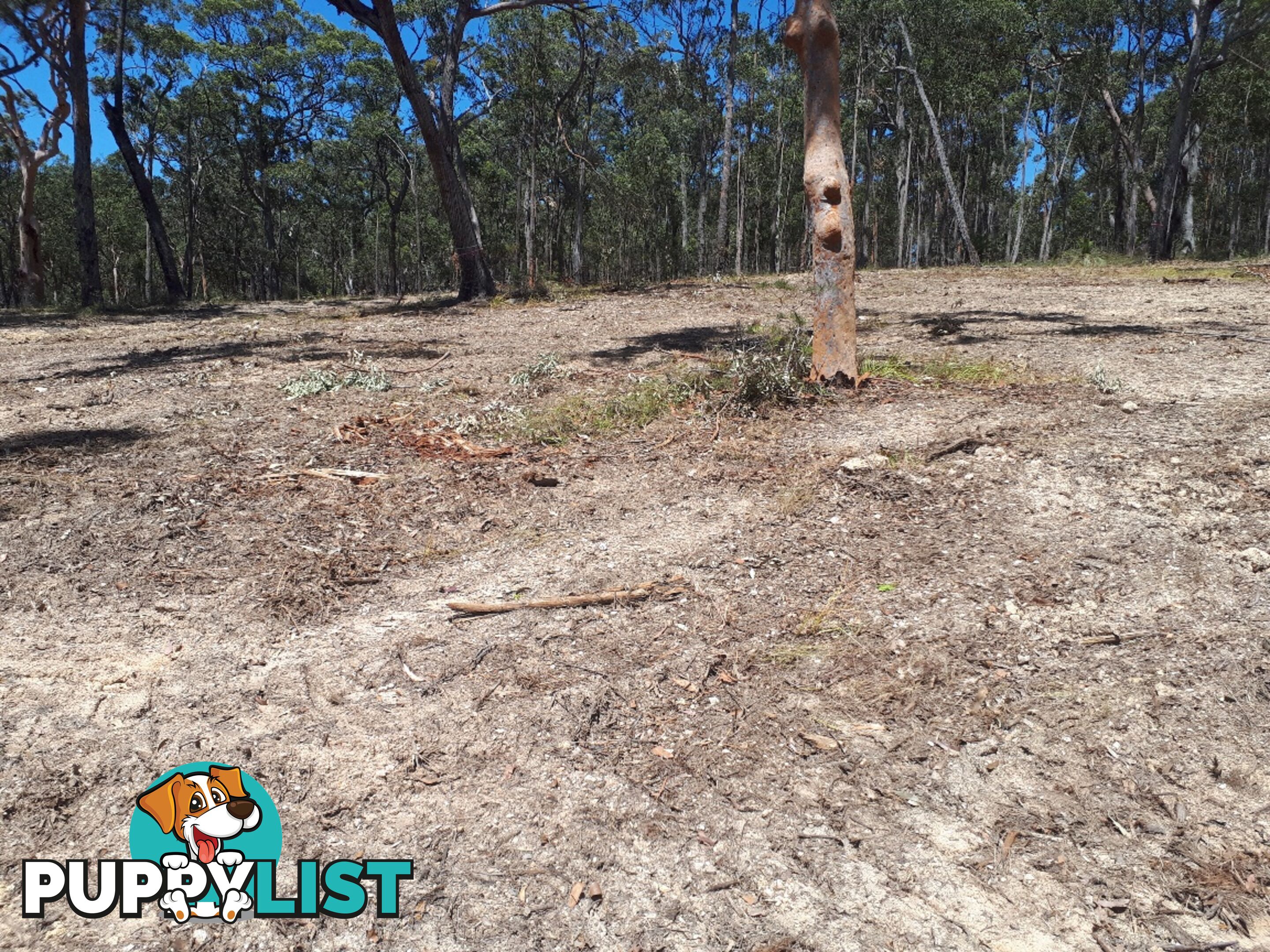 Lot 7 Wamban Road MORUYA NSW 2537