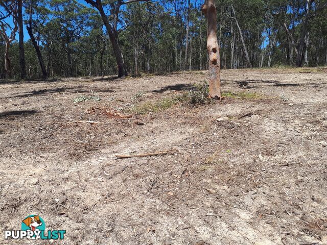 Lot 7 Wamban Road MORUYA NSW 2537