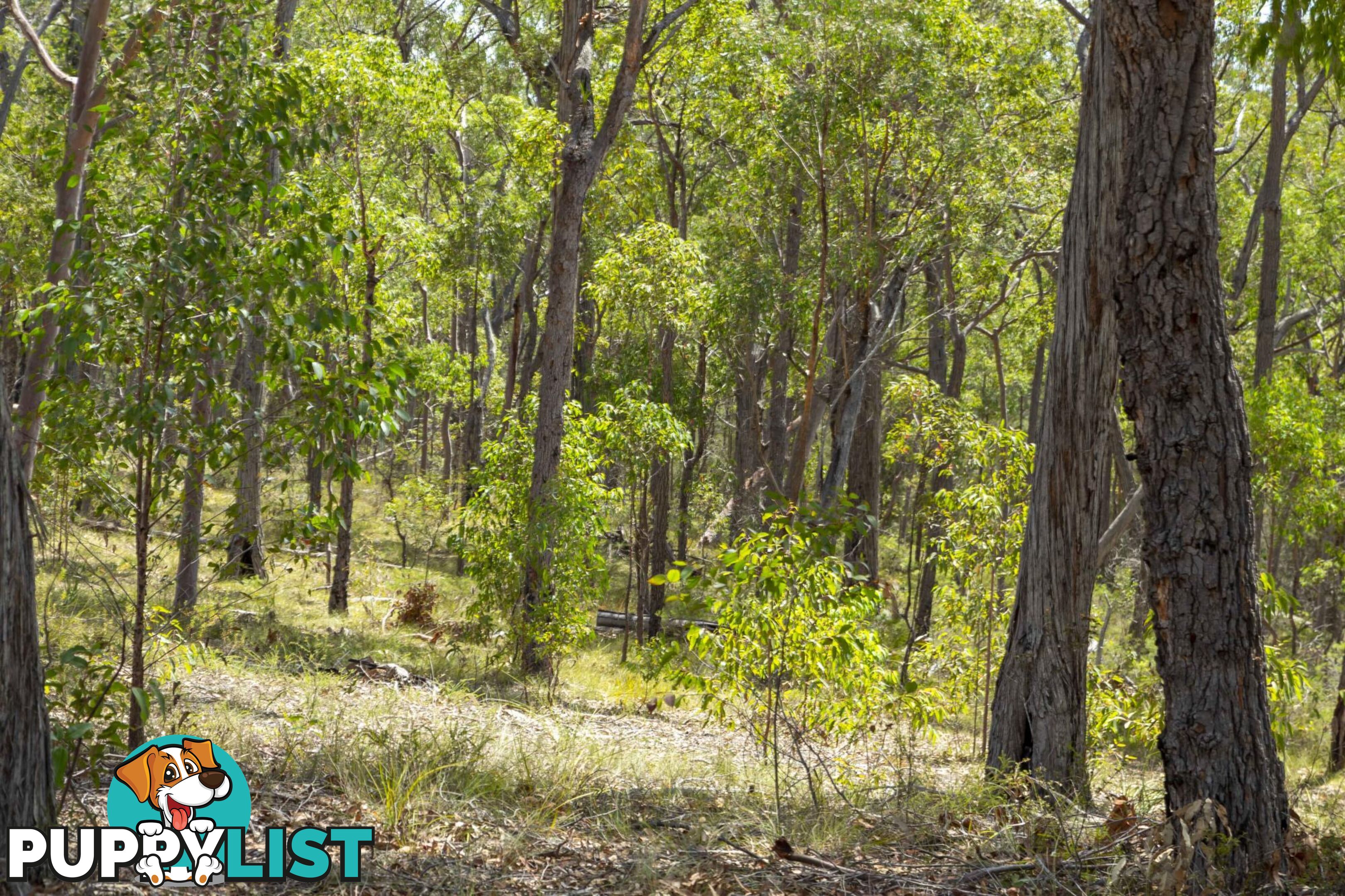 Lot 7 Wamban Road MORUYA NSW 2537