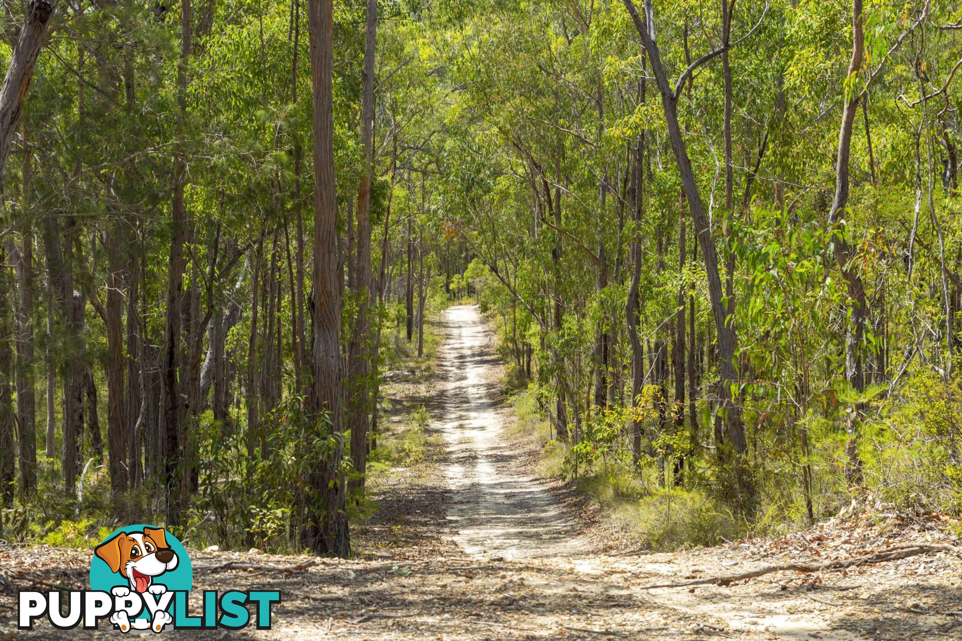 Lot 7 Wamban Road MORUYA NSW 2537