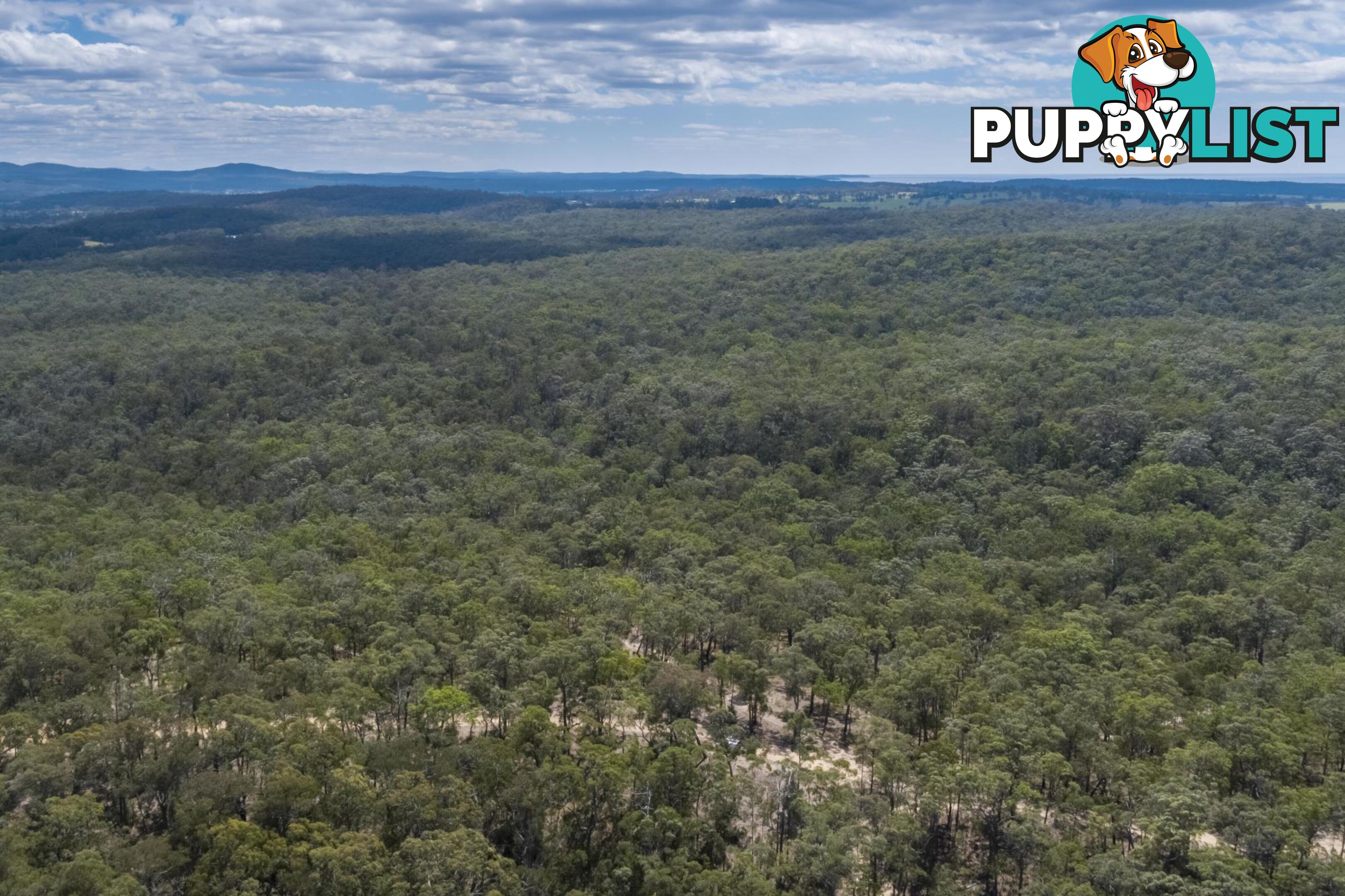 Lot 7 Wamban Road MORUYA NSW 2537