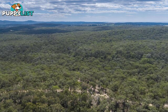 Lot 7 Wamban Road MORUYA NSW 2537