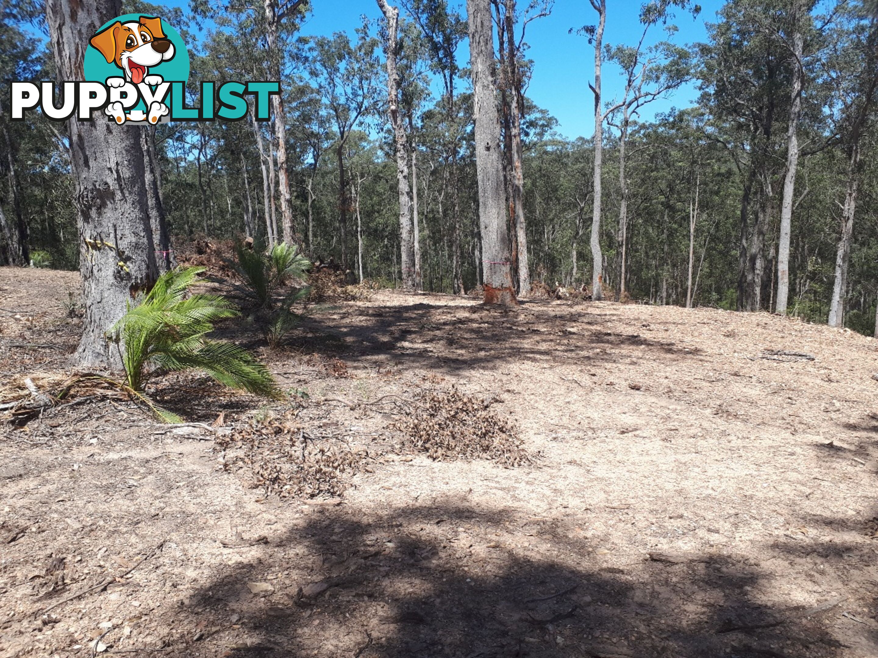 Lot 7 Wamban Road MORUYA NSW 2537