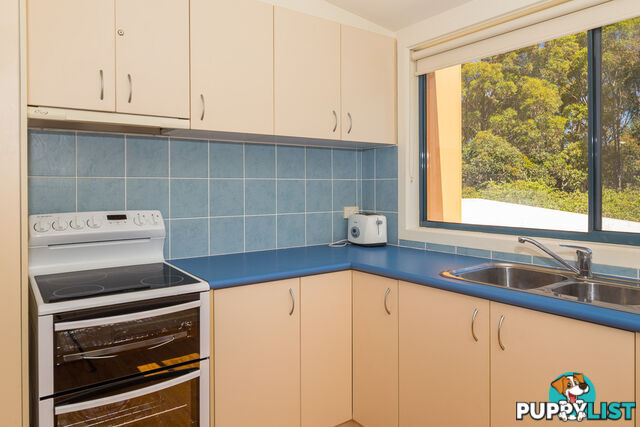 104 Tallawang Ave MALUA BAY NSW 2536