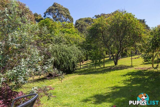 104 Tallawang Ave MALUA BAY NSW 2536