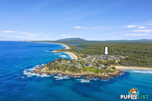 POTATO POINT NSW 2545