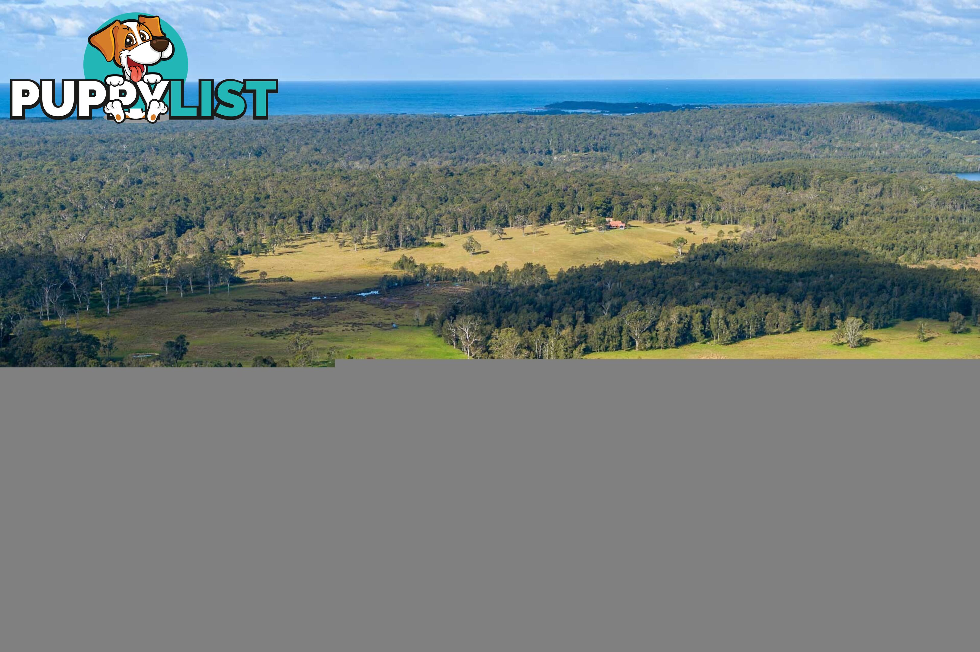 2310 Princes Highway MORUYA NSW 2537