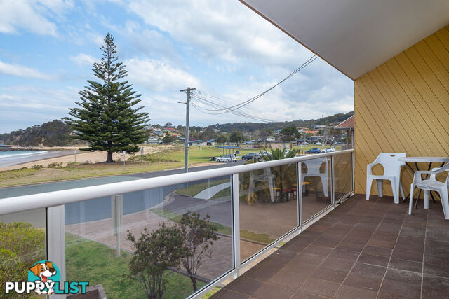 1/16 Kuppa Avenue MALUA BAY NSW 2536