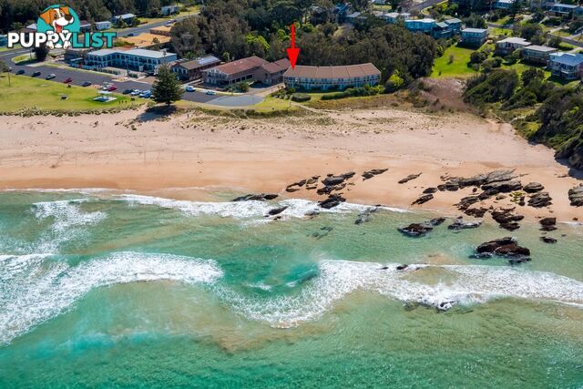 1/16 Kuppa Avenue MALUA BAY NSW 2536