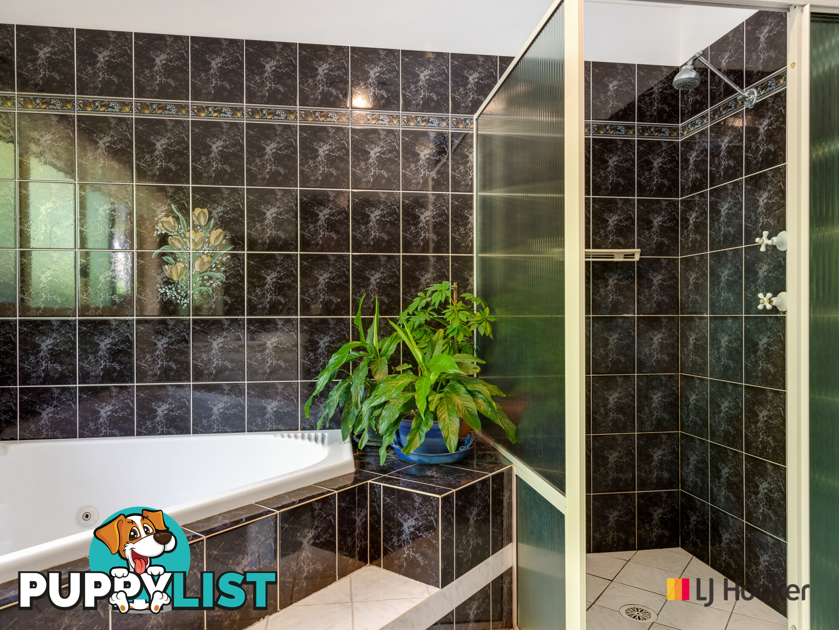 4 Sorrel Place CATALINA NSW 2536