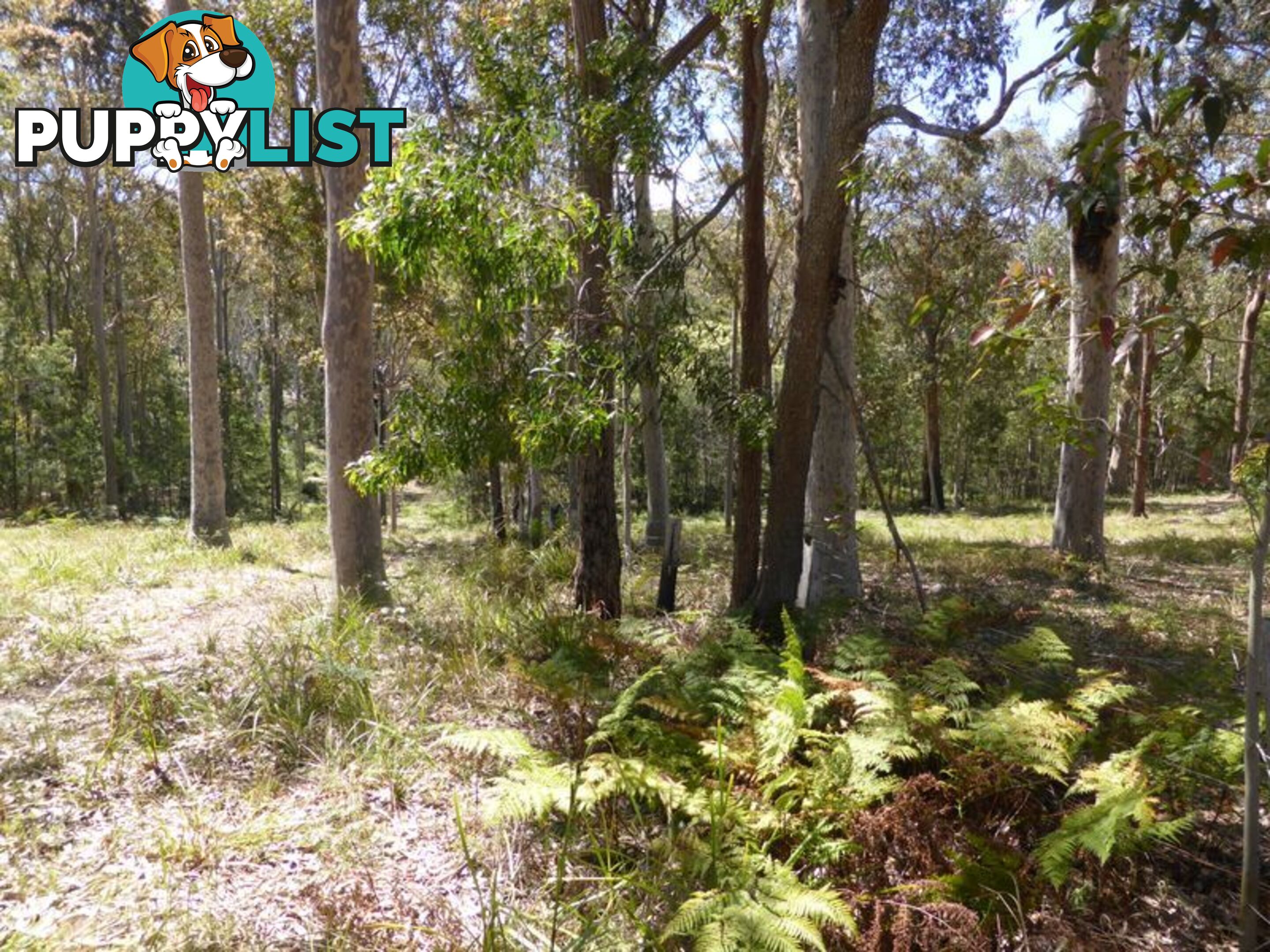 Lot 62 Mays Lane RUNNYFORD NSW 2536