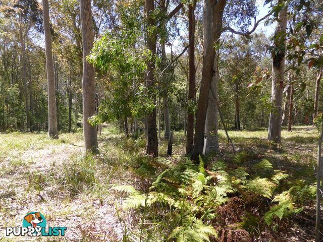 Lot 62 Mays Lane RUNNYFORD NSW 2536