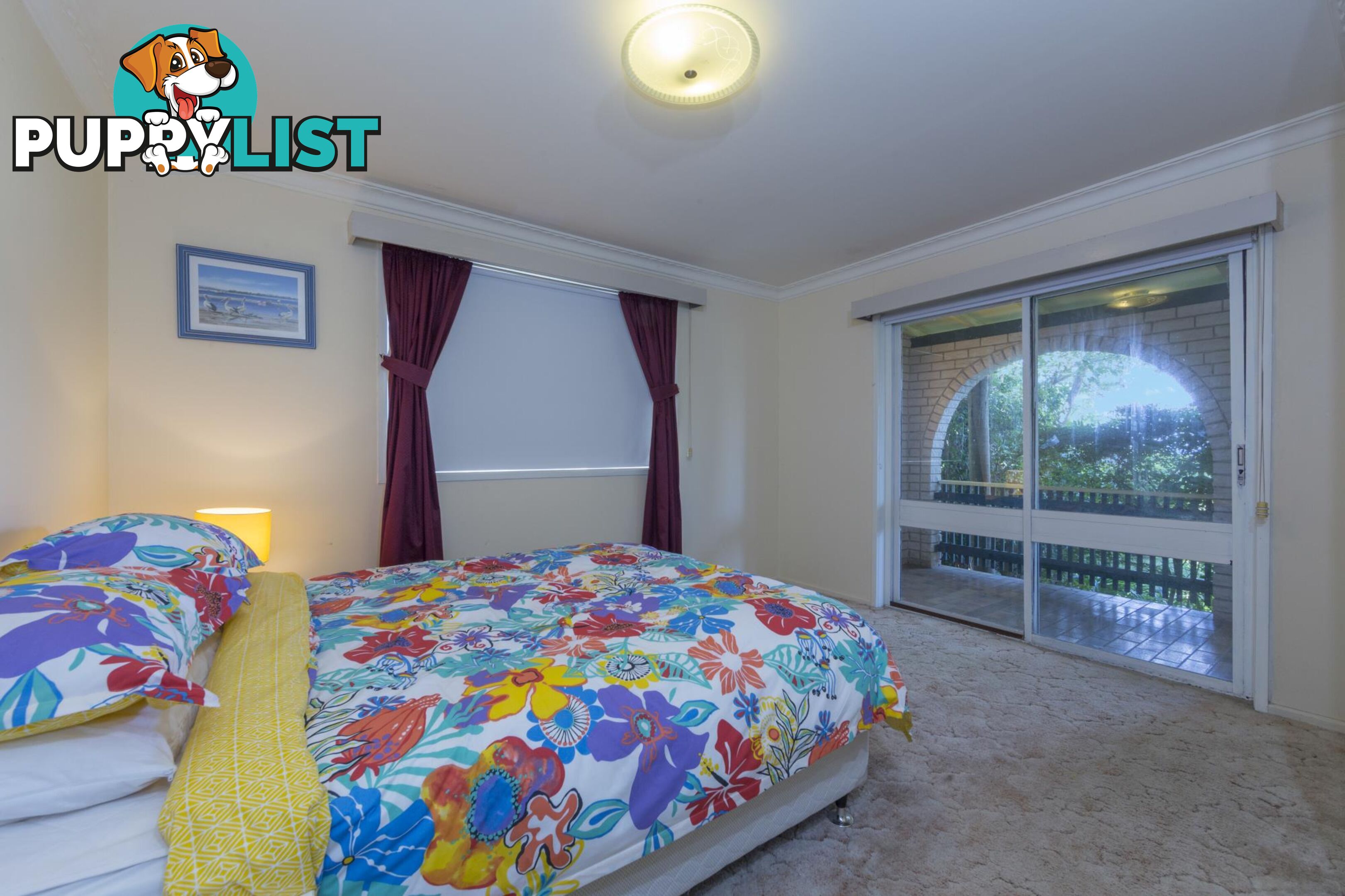 41 Iluka Avenue MALUA BAY NSW 2536