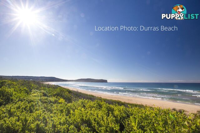 36 Lakeside Drive SOUTH DURRAS NSW 2536