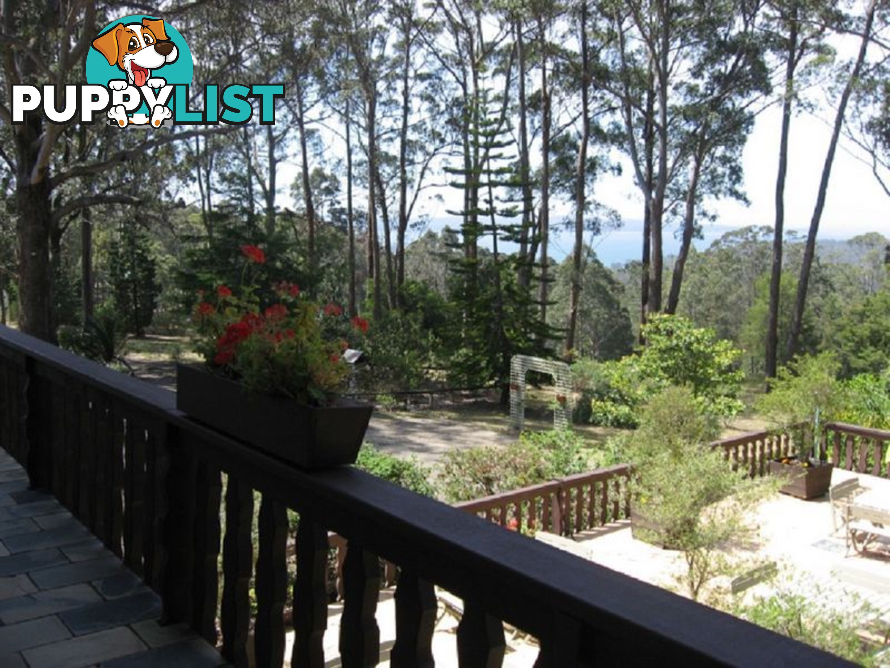 676 The Ridge Road MALUA BAY NSW 2536