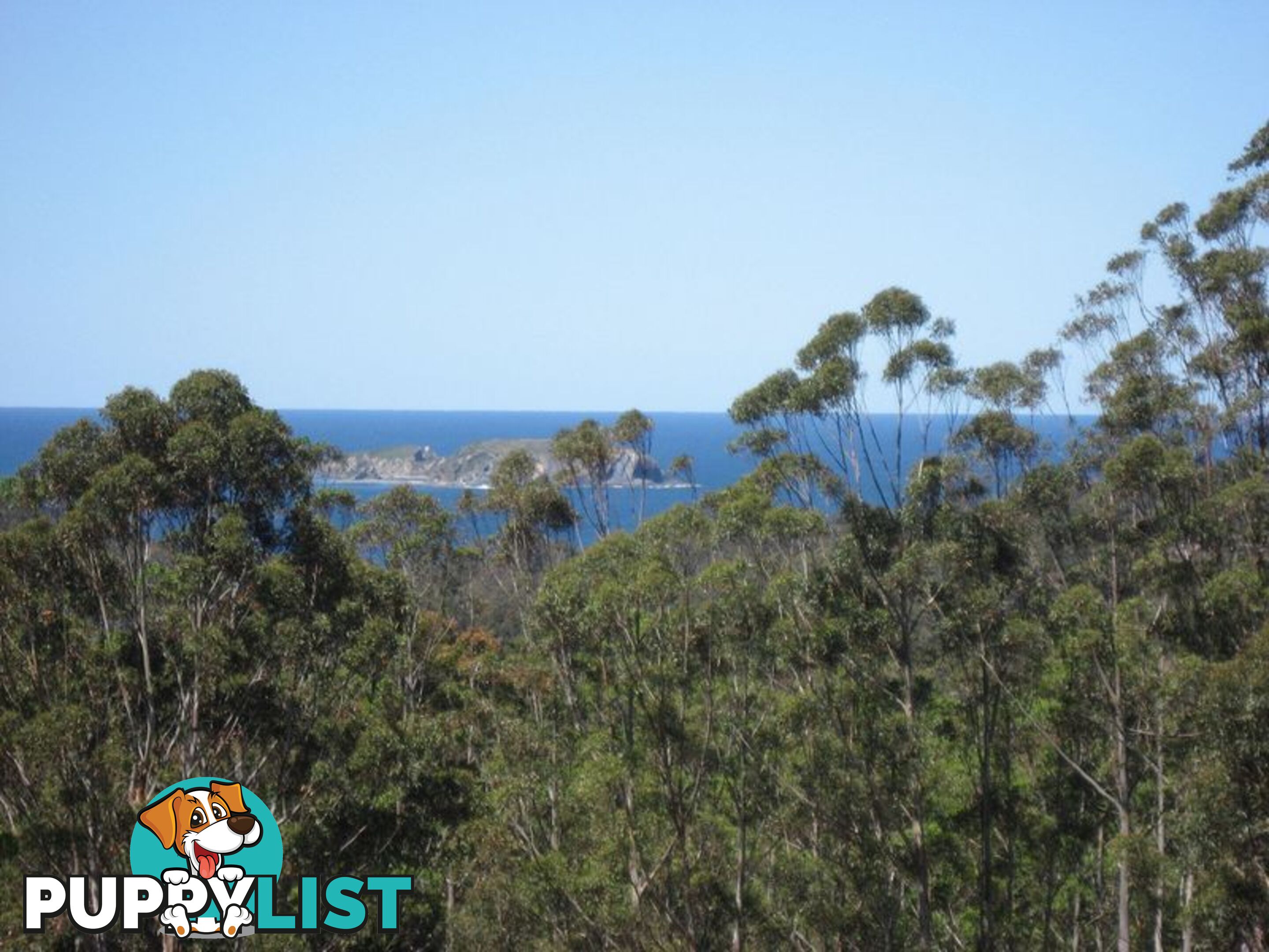 676 The Ridge Road MALUA BAY NSW 2536