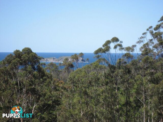 676 The Ridge Road MALUA BAY NSW 2536