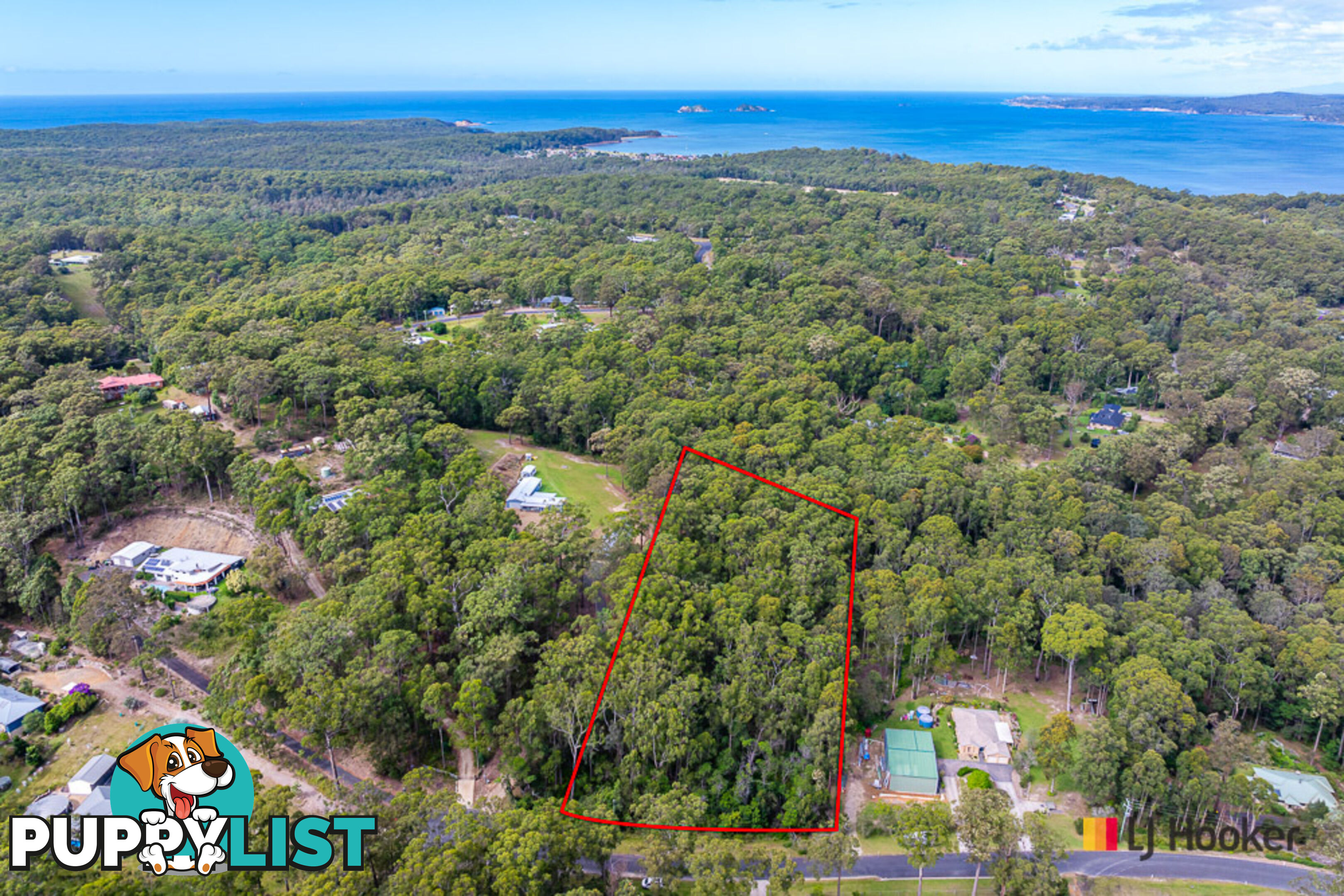 50 Tree Fern Place LONG BEACH NSW 2536