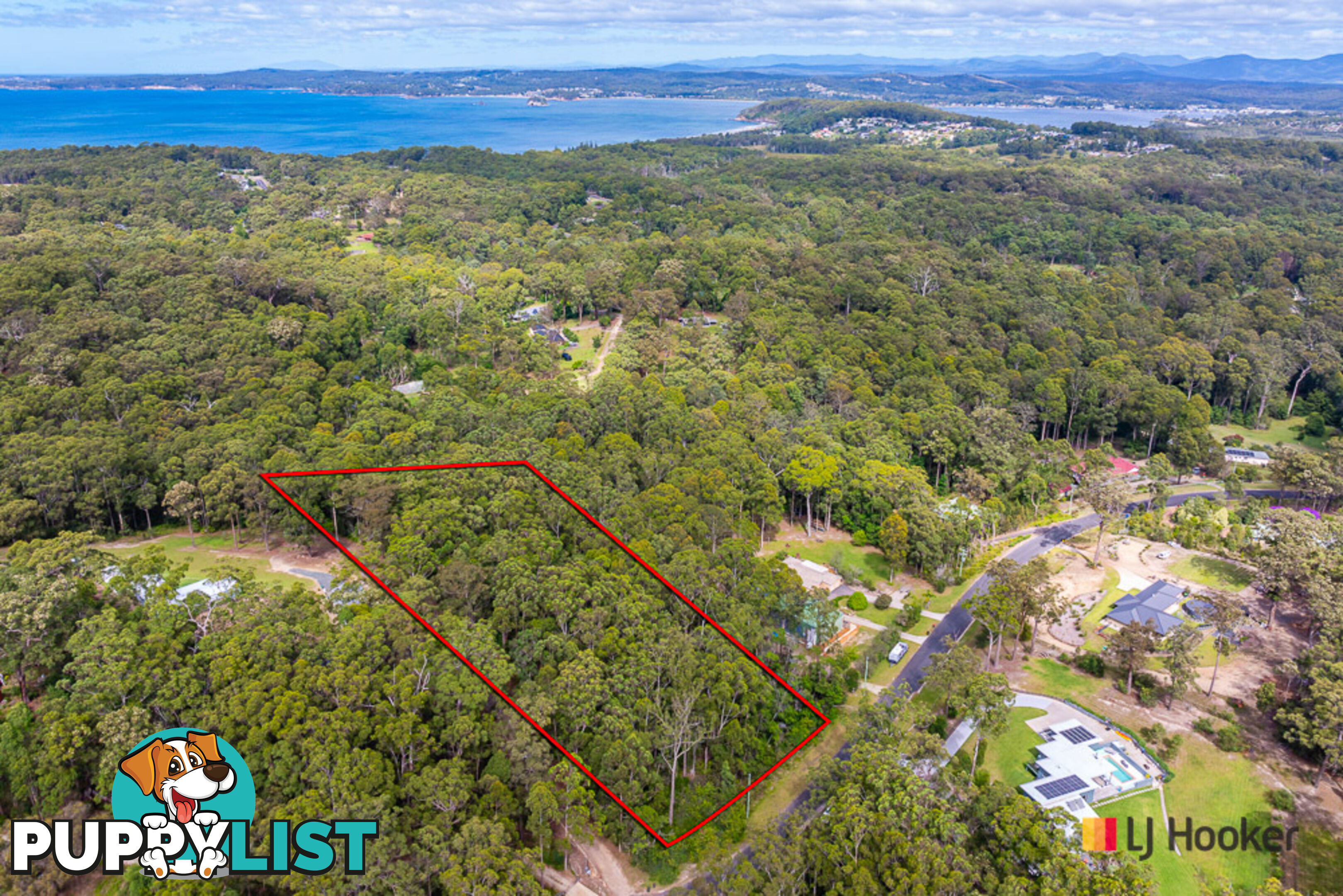 50 Tree Fern Place LONG BEACH NSW 2536