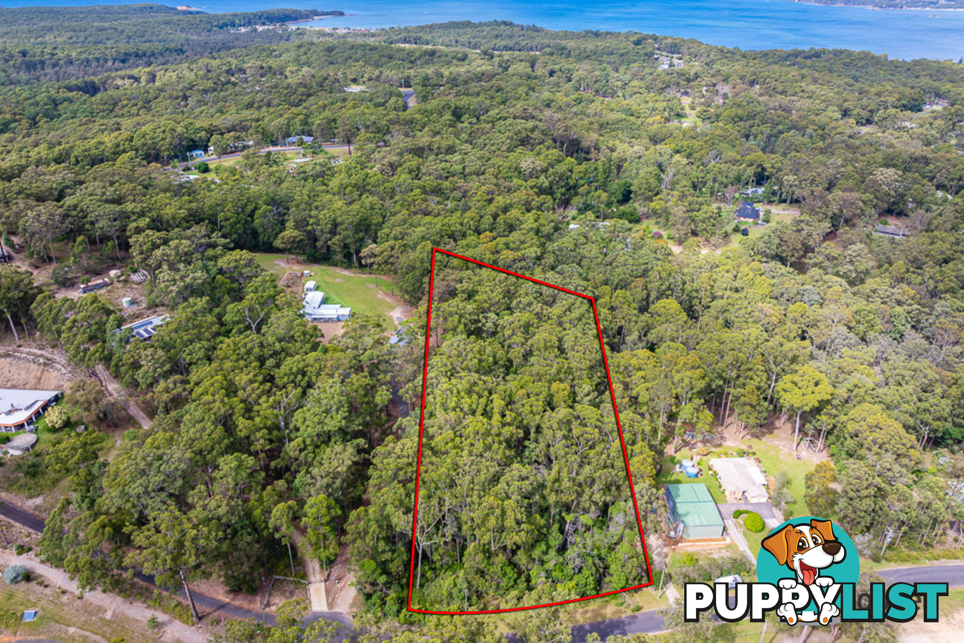 50 Tree Fern Place LONG BEACH NSW 2536