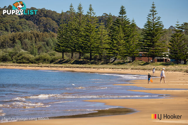 50 Tree Fern Place LONG BEACH NSW 2536