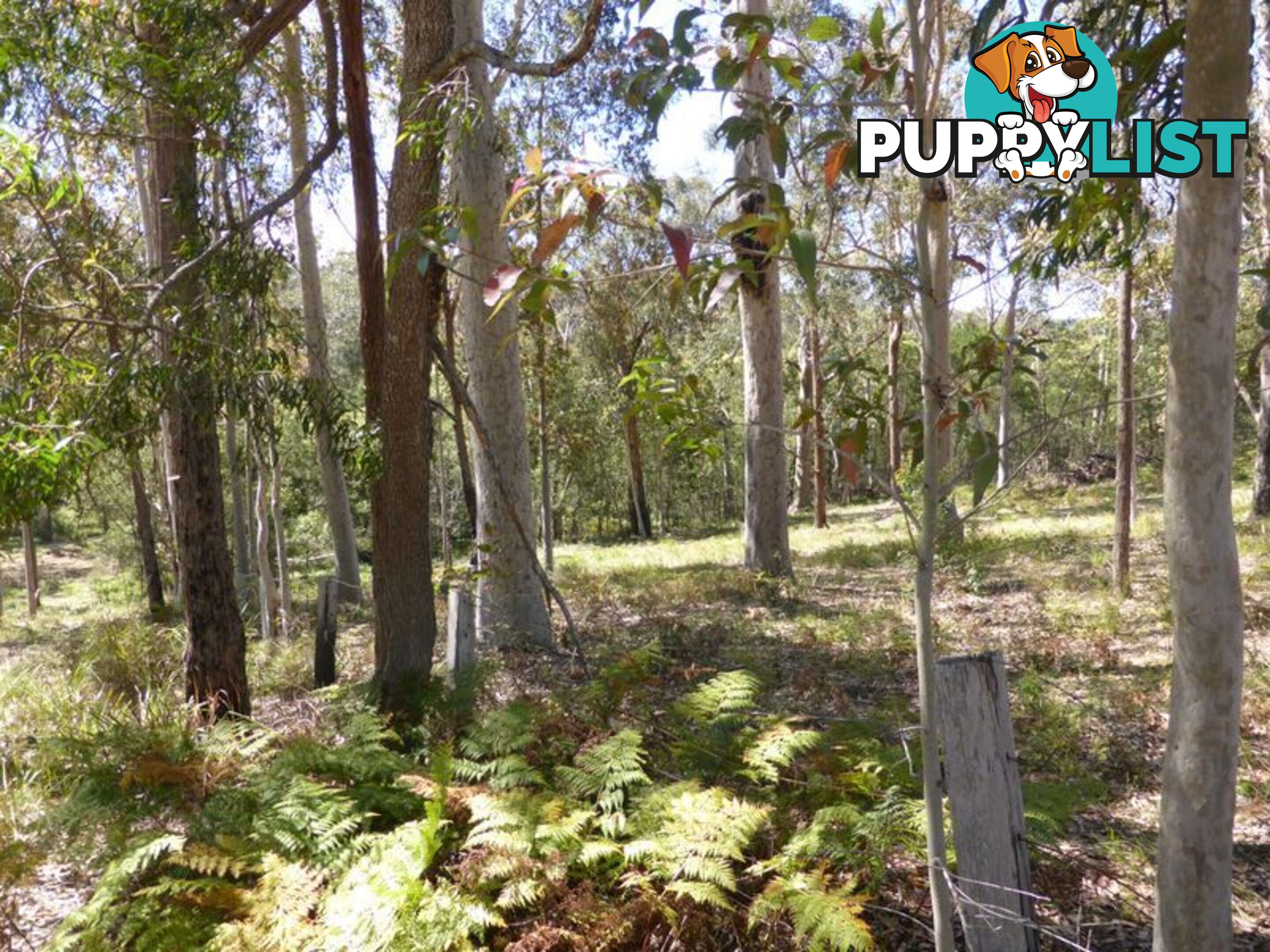 Lot 63 Mays Lane RUNNYFORD NSW 2536