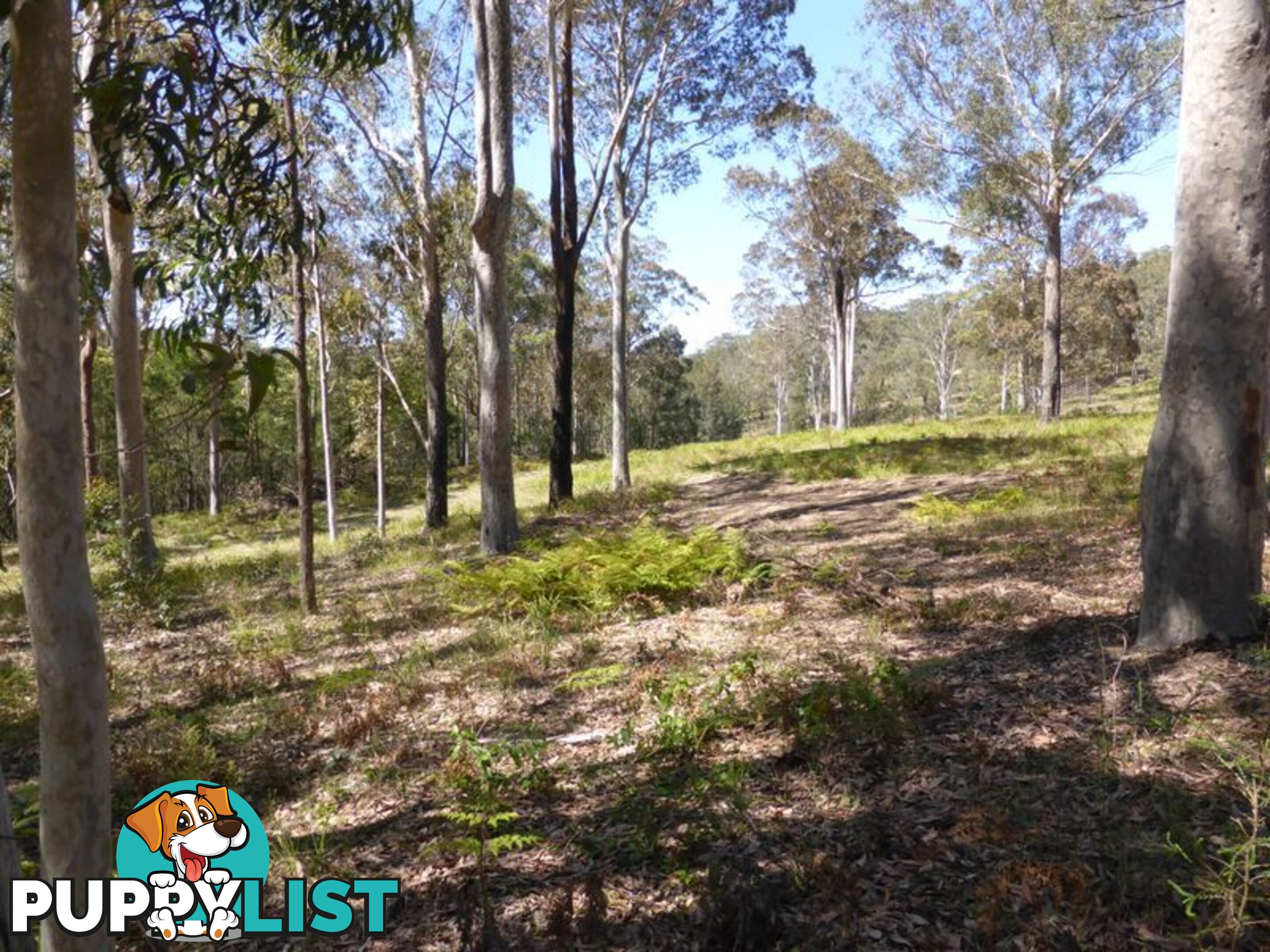 Lot 63 Mays Lane RUNNYFORD NSW 2536