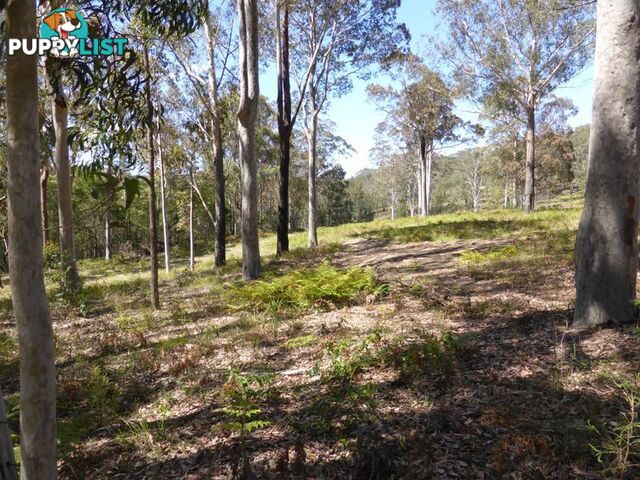 Lot 63 Mays Lane RUNNYFORD NSW 2536