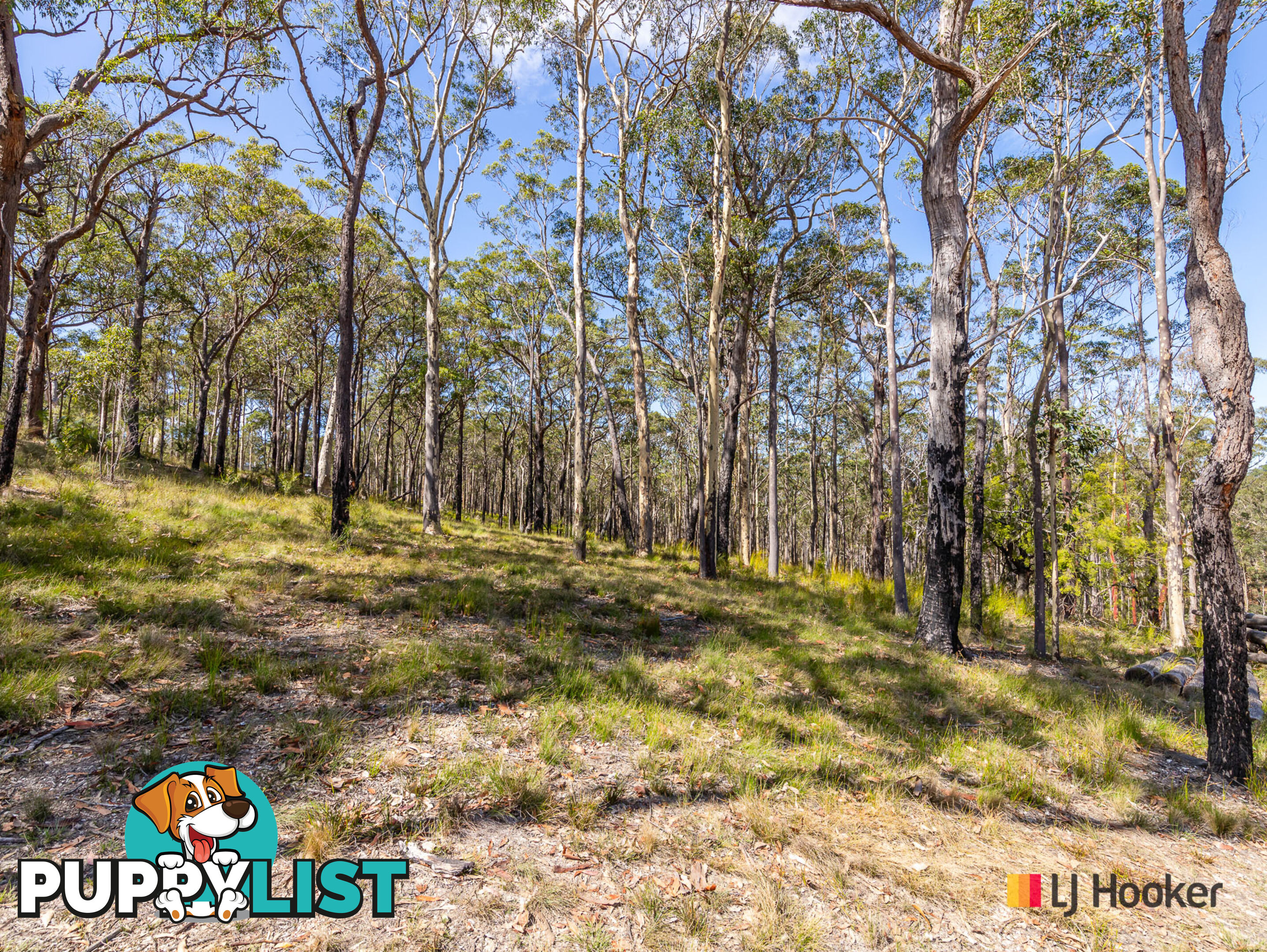 Lot 6-8 Hanna Place NORTH BATEMANS BAY NSW 2536