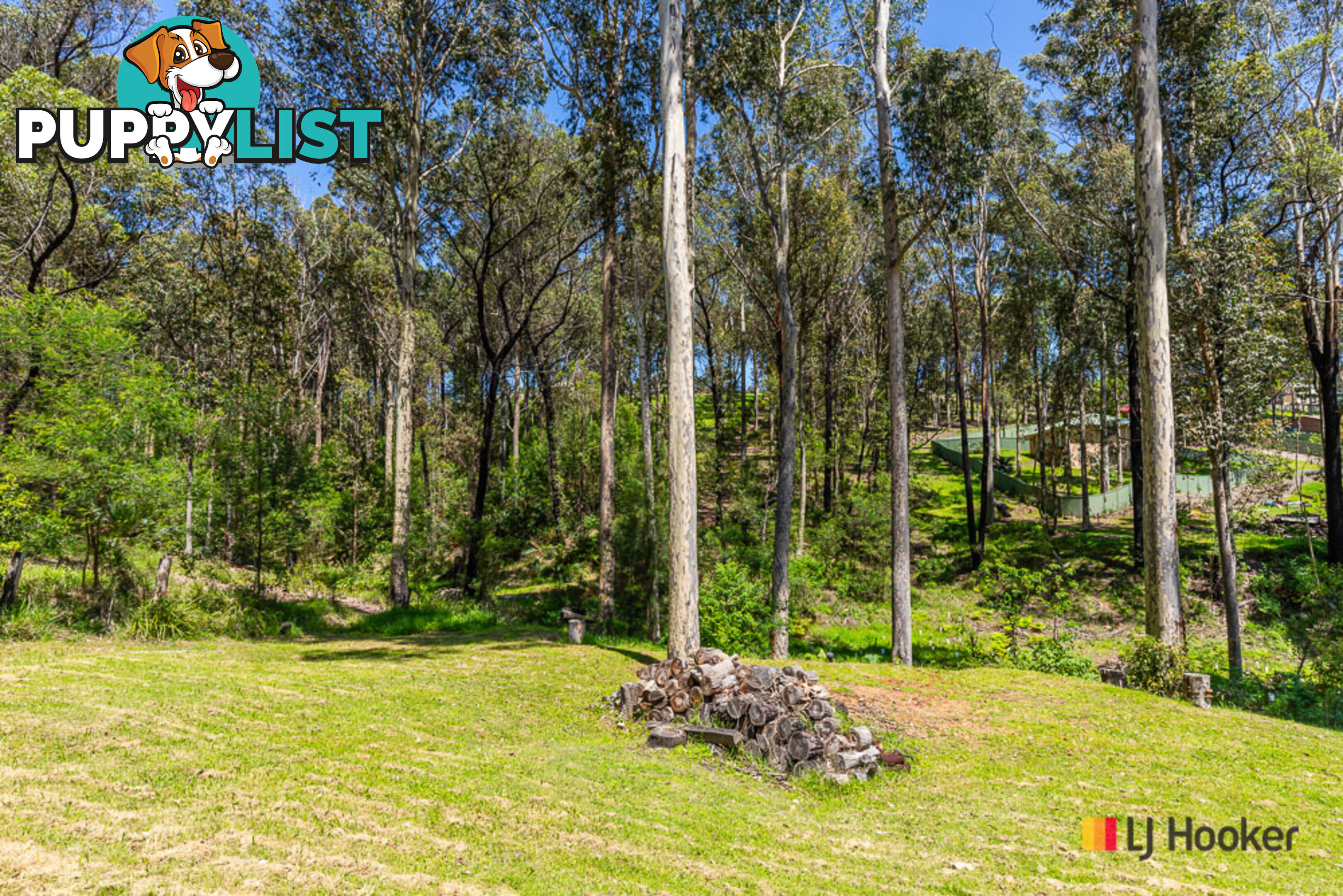 12 Sandpiper Place CATALINA NSW 2536