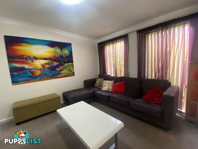 6 Barrani Place LILLI PILLI NSW 2536