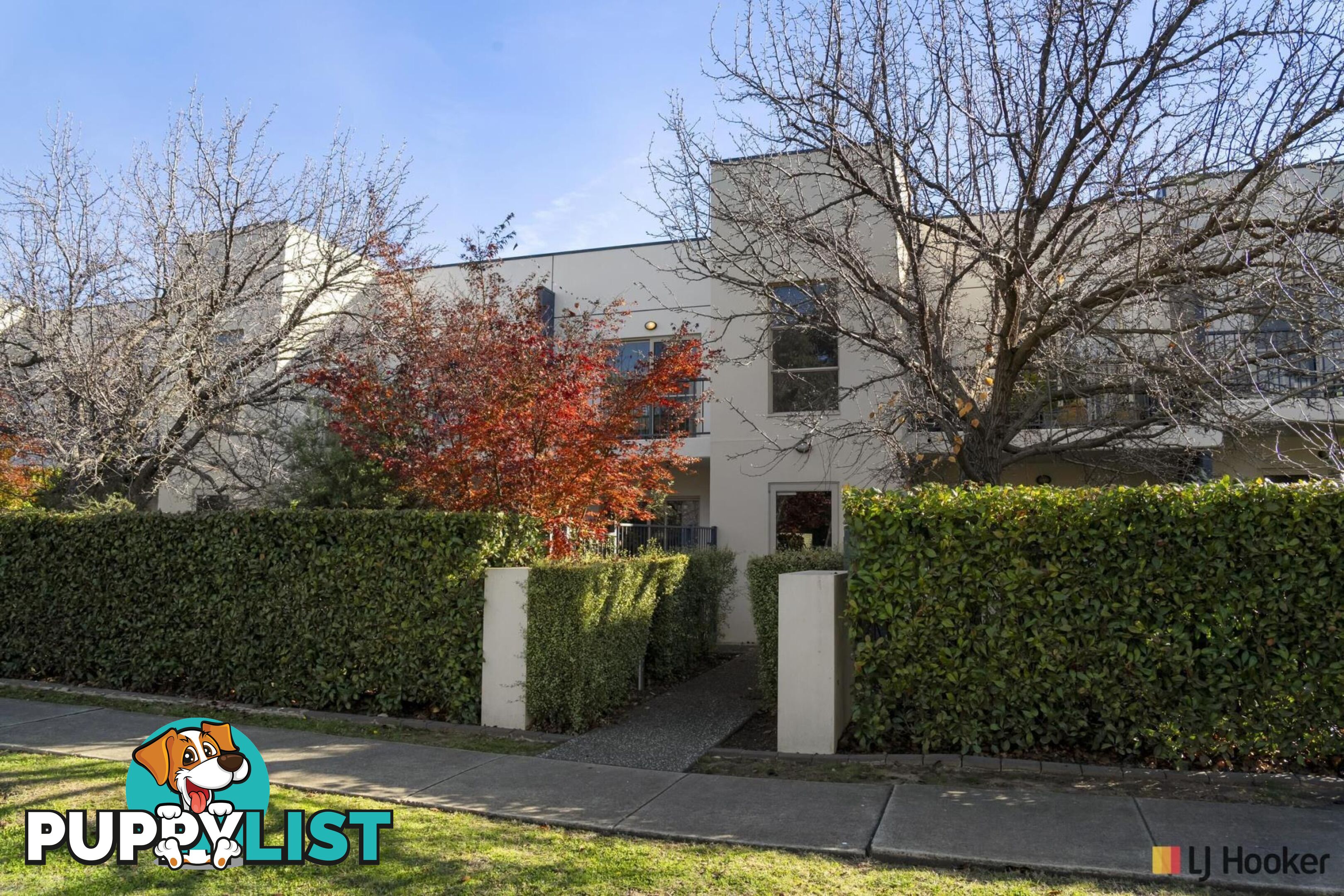 18/15 Oliver Street LYNEHAM ACT 2602