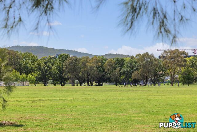 11/39 Brigalow Street O'CONNOR ACT 2602