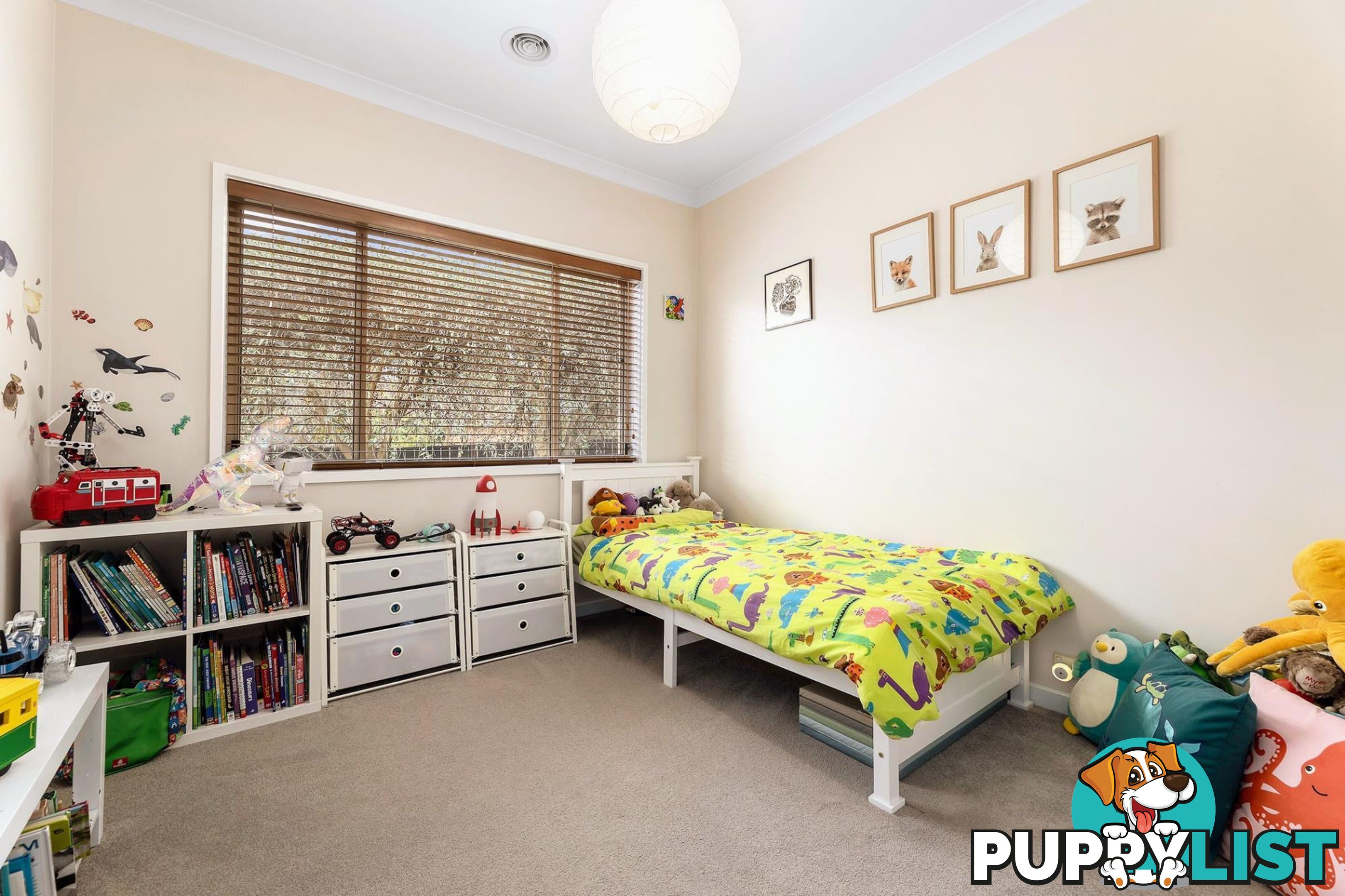 39B Legge Street DOWNER ACT 2602