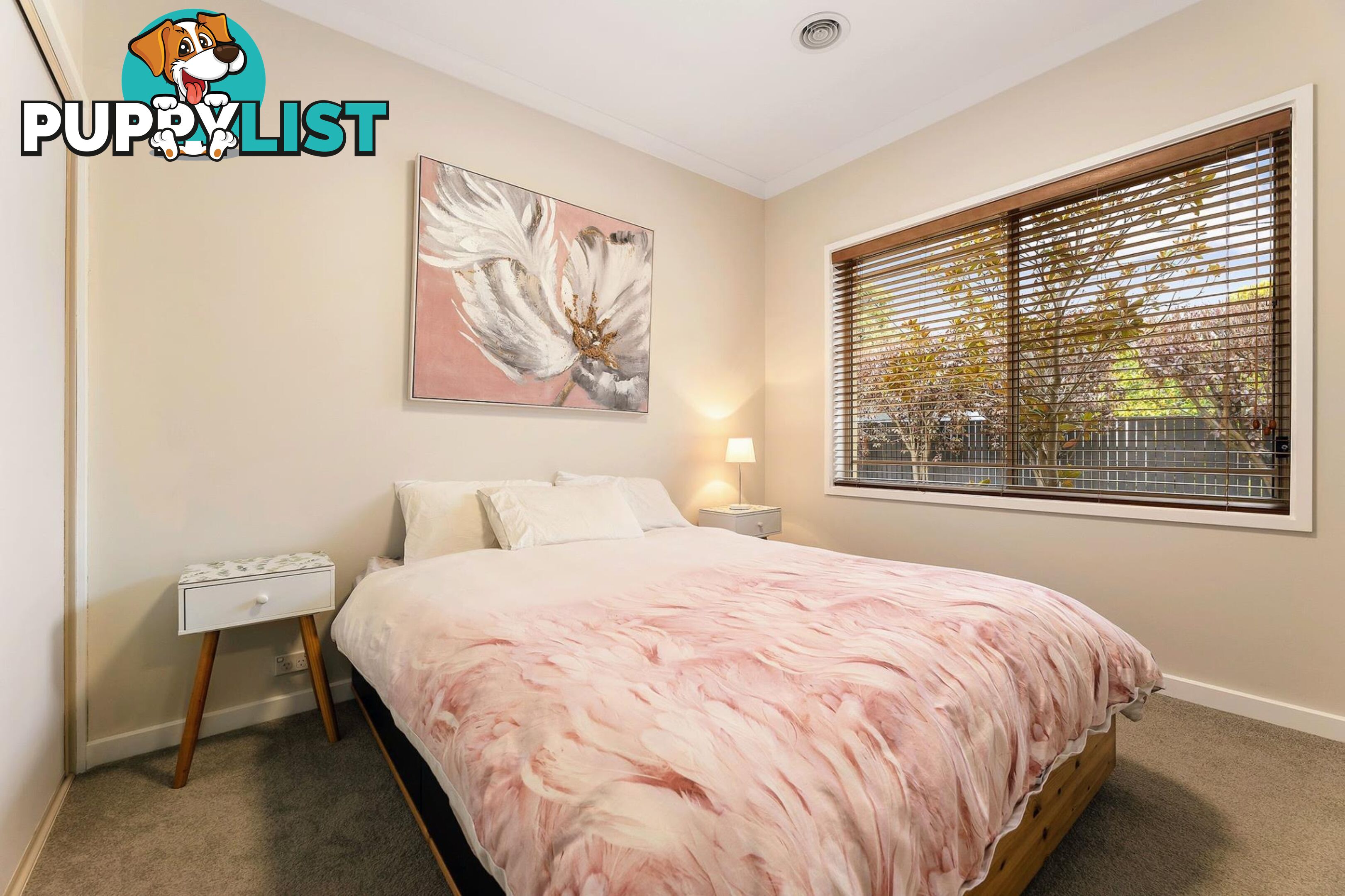 39B Legge Street DOWNER ACT 2602