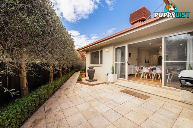 39B Legge Street DOWNER ACT 2602