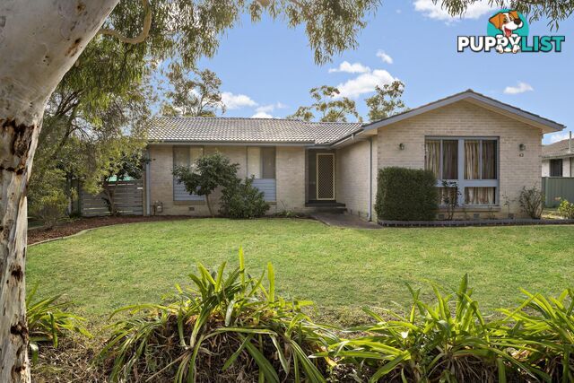 43 Jacobs Street EVATT ACT 2617