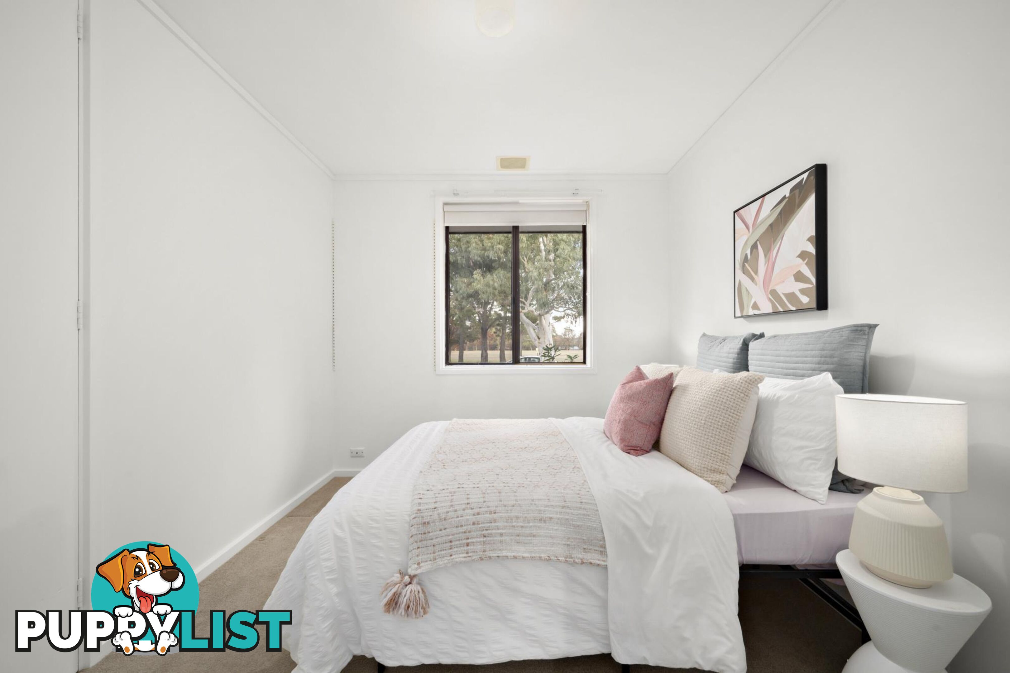 43 Jacobs Street EVATT ACT 2617