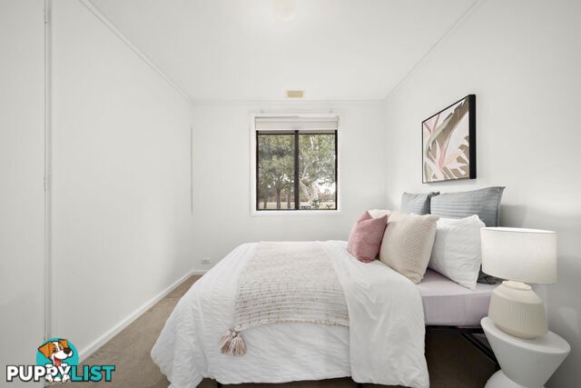 43 Jacobs Street EVATT ACT 2617