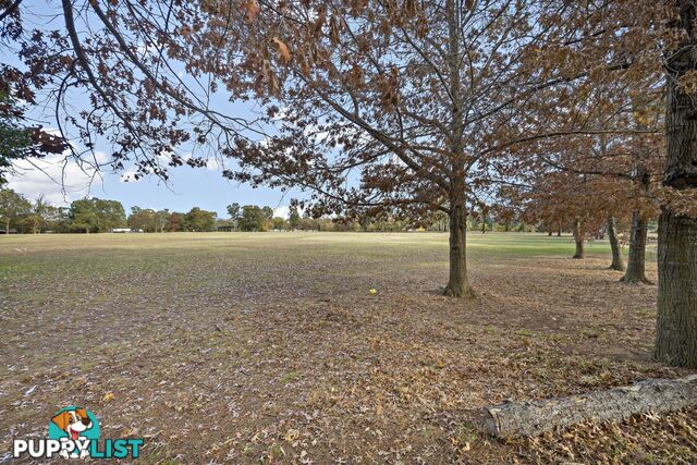 43 Jacobs Street EVATT ACT 2617