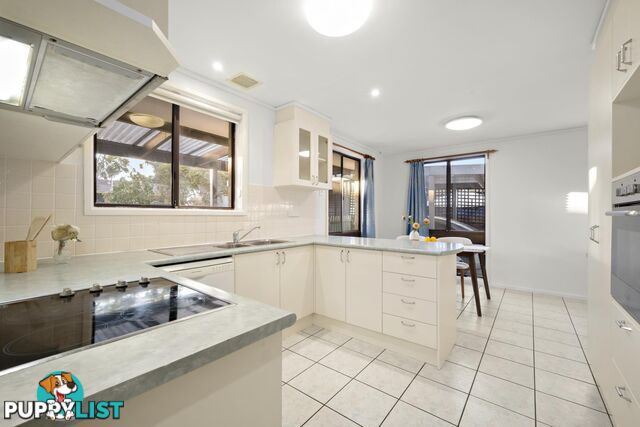 43 Jacobs Street EVATT ACT 2617
