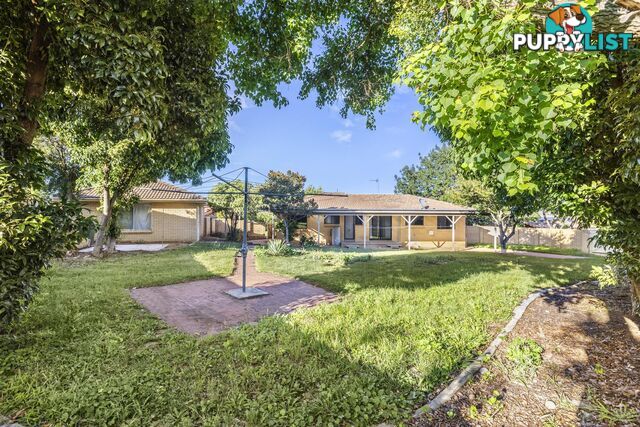 1 Muscio Place CHISHOLM ACT 2905