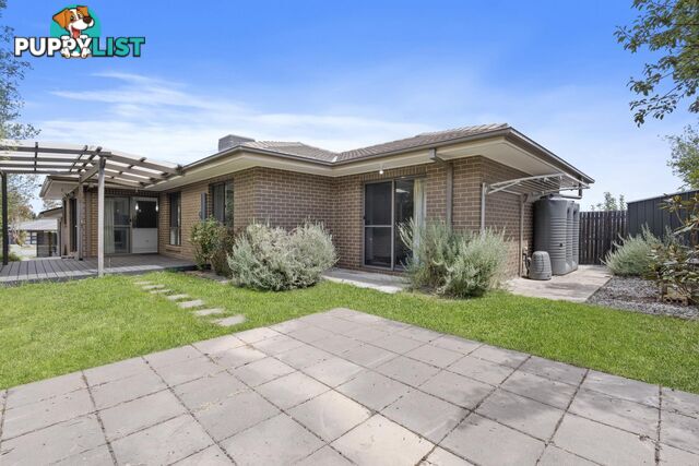 146 Langtree Crescent CRACE ACT 2911